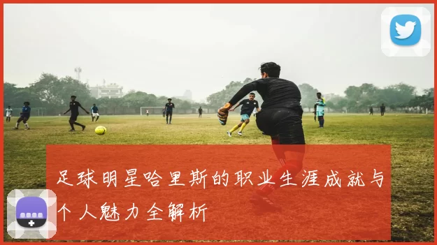 足球明星哈里斯的职业生涯成就与个人魅力全解析