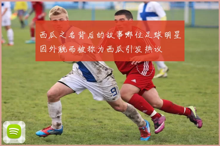 西瓜之名背后的故事哪位足球明星因外貌而被称为西瓜引发热议