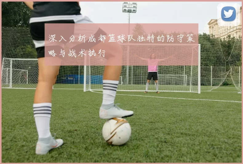 深入分析成都篮球队独特的防守策略与战术执行