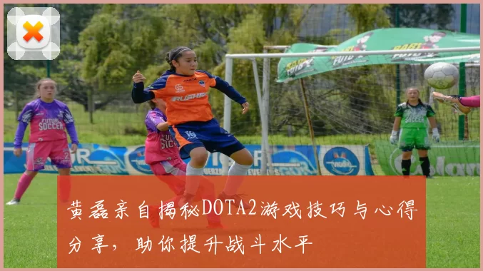 黄磊亲自揭秘DOTA2游戏技巧与心得分享，助你提升战斗水平
