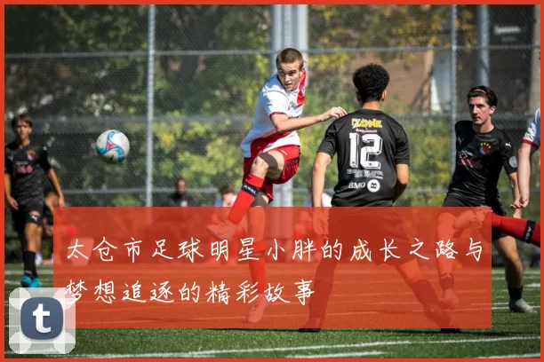 太仓市足球明星小胖的成长之路与梦想追逐的精彩故事