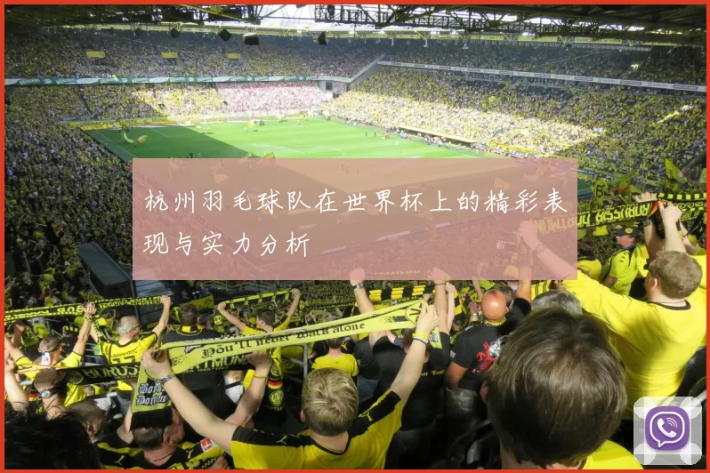杭州羽毛球队在世界杯上的精彩表现与实力分析