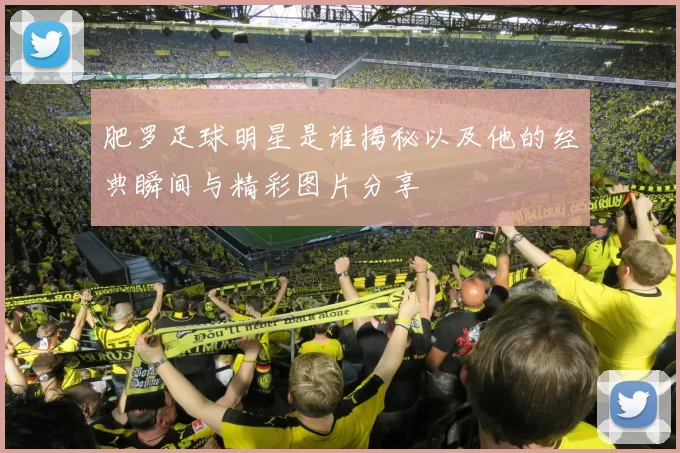 肥罗足球明星是谁揭秘以及他的经典瞬间与精彩图片分享