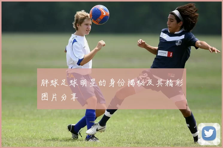 胖球足球明星的身份揭秘及其精彩图片分享
