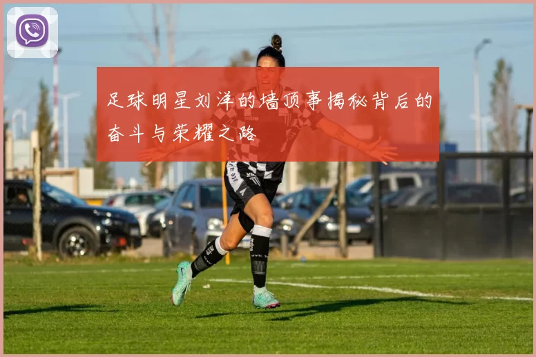 足球明星刘洋的墙顶事揭秘背后的奋斗与荣耀之路