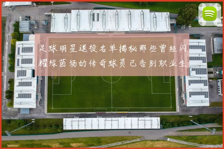 足球明星退役名单揭秘那些曾经闪耀绿茵场的传奇球员已告别职业生涯