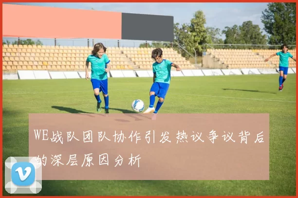WE战队团队协作引发热议争议背后的深层原因分析
