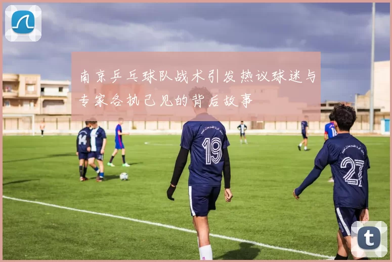 南京乒乓球队战术引发热议球迷与专家各执己见的背后故事