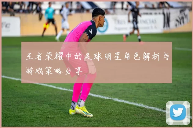 王者荣耀中的足球明星角色解析与游戏策略分享