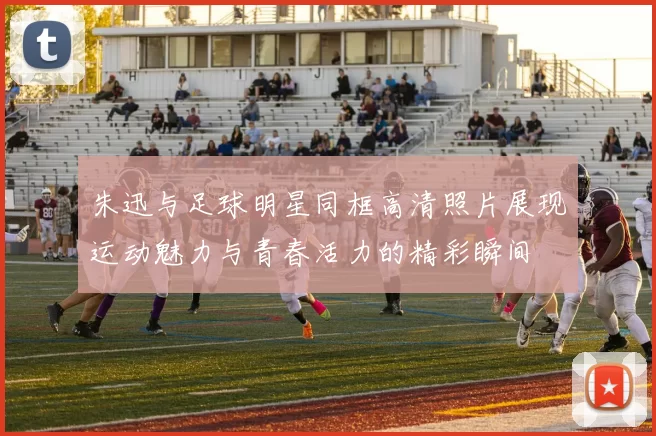 朱迅与足球明星同框高清照片展现运动魅力与青春活力的精彩瞬间