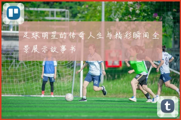 足球明星的传奇人生与精彩瞬间全景展示故事书