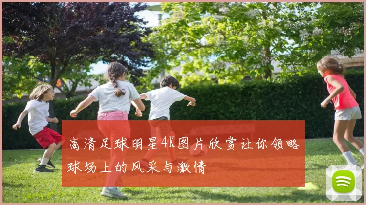 高清足球明星4K图片欣赏让你领略球场上的风采与激情