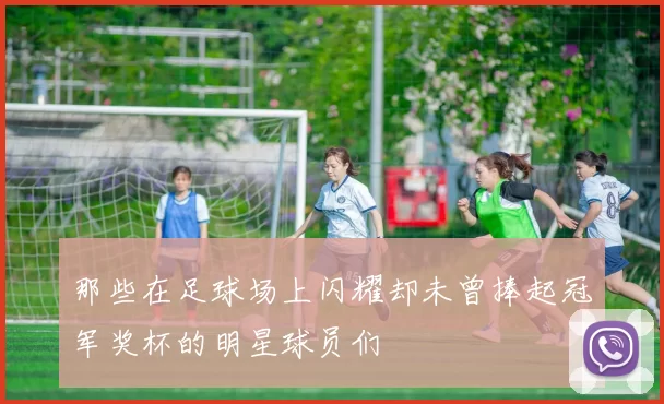 那些在足球场上闪耀却未曾捧起冠军奖杯的明星球员们