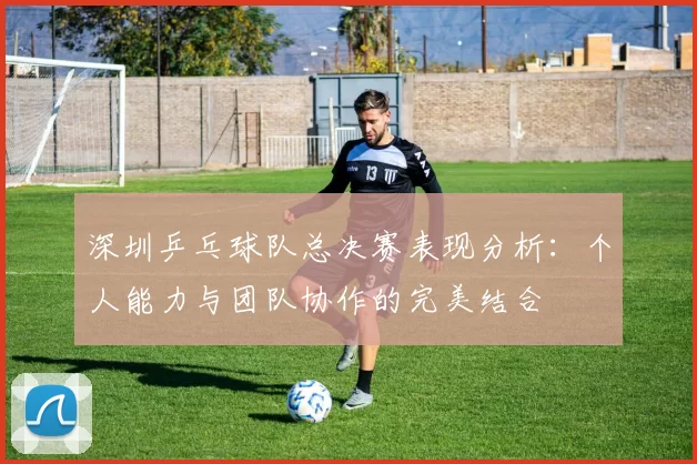 深圳乒乓球队总决赛表现分析：个人能力与团队协作的完美结合