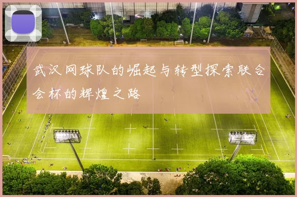 武汉网球队的崛起与转型探索联合会杯的辉煌之路