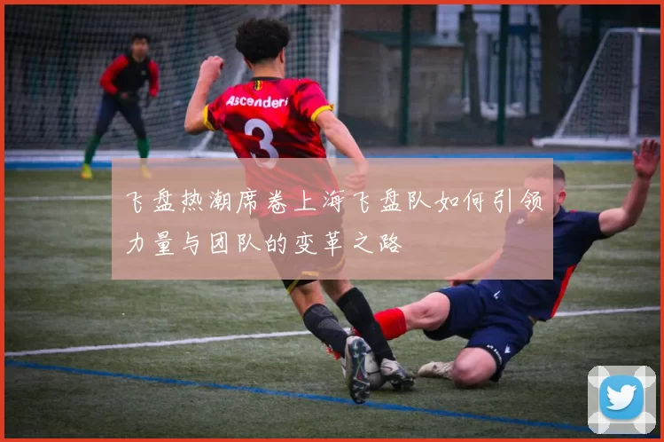 飞盘热潮席卷上海飞盘队如何引领力量与团队的变革之路