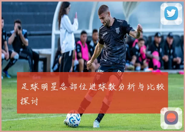 足球明星各部位进球数分析与比较探讨