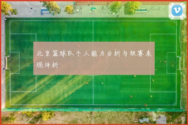 北京篮球队个人能力分析与联赛表现评析