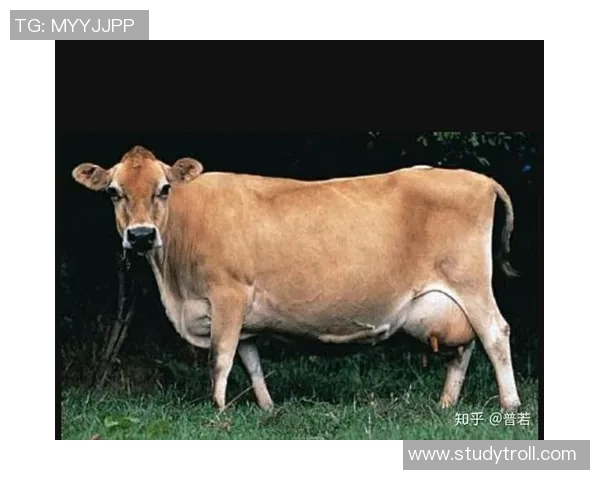 公牛在自然生态中的重要角色与文化象征意义探讨