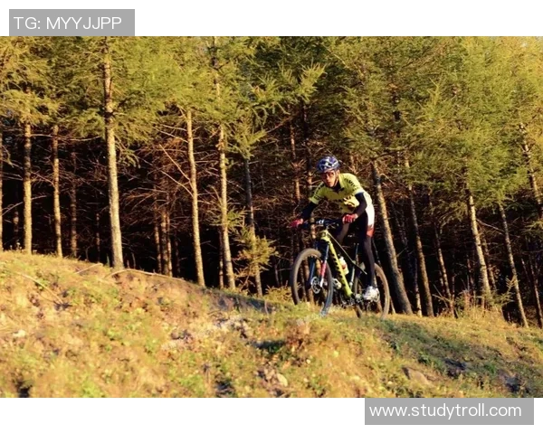 武汉极限运动队个人能力分析与提升探讨