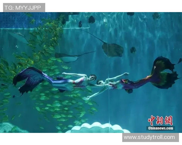 水中飞翔：激情与艺术交织的游泳表演盛宴